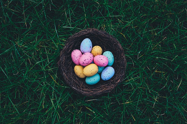 Colorful eggs placed in a nest on a grass field.