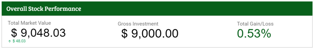 Overall Stock Performance of Marcus's Stock Portfolio Update in June 2021