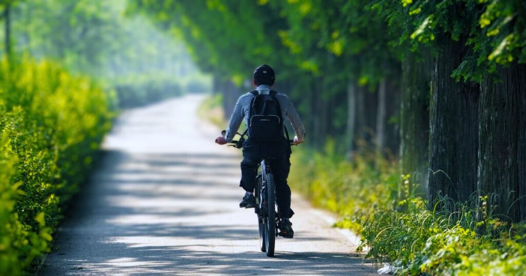 A man riding bicycle in the path of forest