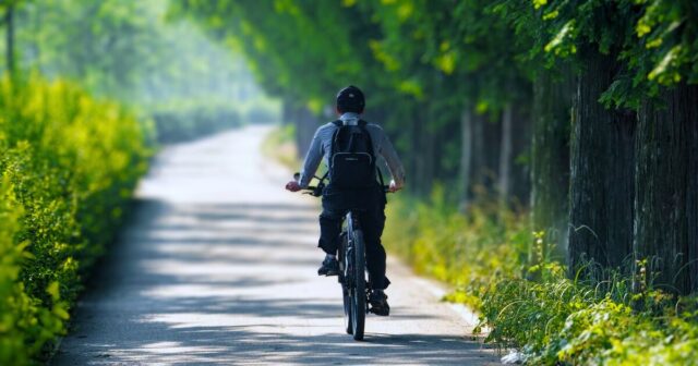 A man riding bicycle in the path of forest