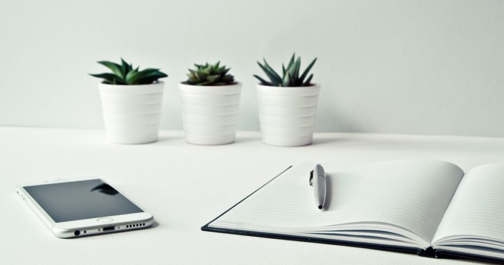 A phone, a notebook and 3 plants on a clean table resemble minimalism