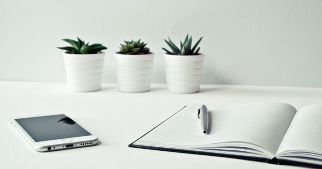 A phone, a notebook and 3 plants on a clean table resemble minimalism